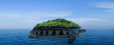 ​乌龟和海龟什么区别 乌龟海龟有什么区别图片