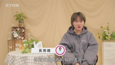 ​花盆里有蚂蚁怎么处理好 花盆里有蚂蚁怎么处理干净