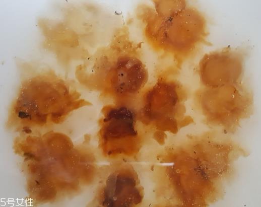 桃胶可以用开水泡吗？用开水泡桃胶好吗？