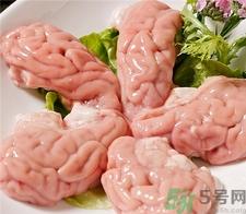 脑花的营养价值 脑花的功效与作用