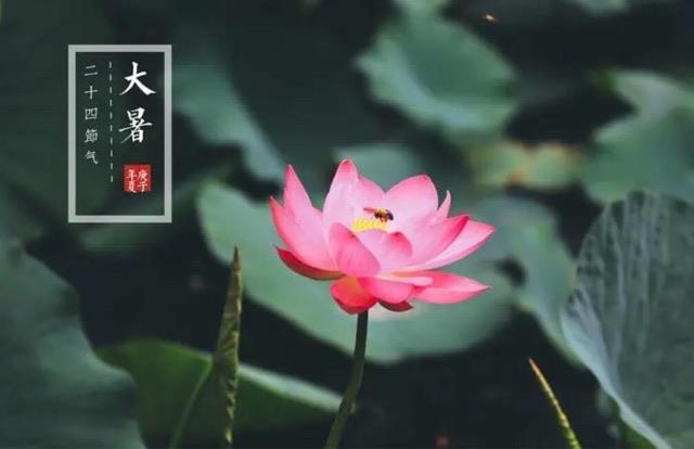 网络图片(侵删)