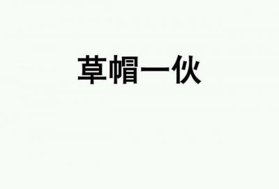 ​海贼王人物介绍（史上最全）