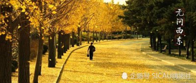 ​《无问西东》好评如潮，你却看不懂影片想要表达什么？