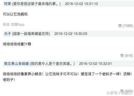 还记小浣熊干脆面吗？这次又火了干脆面君风靡网络不是没有原因的