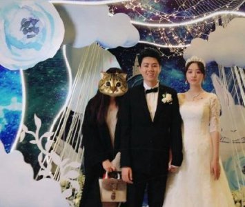 ​微博牛人“同道大叔”结婚，这颜值让你意外了吧？