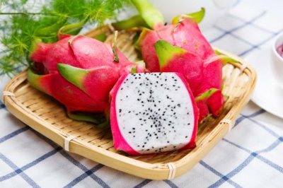 ​火龙果苗怎么种