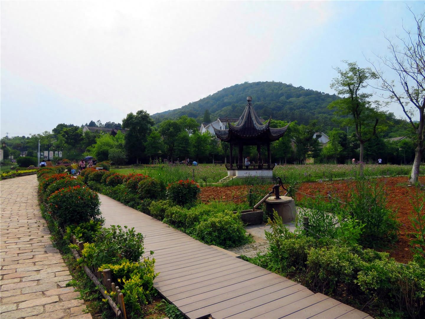 南京浦口老山下的不老村