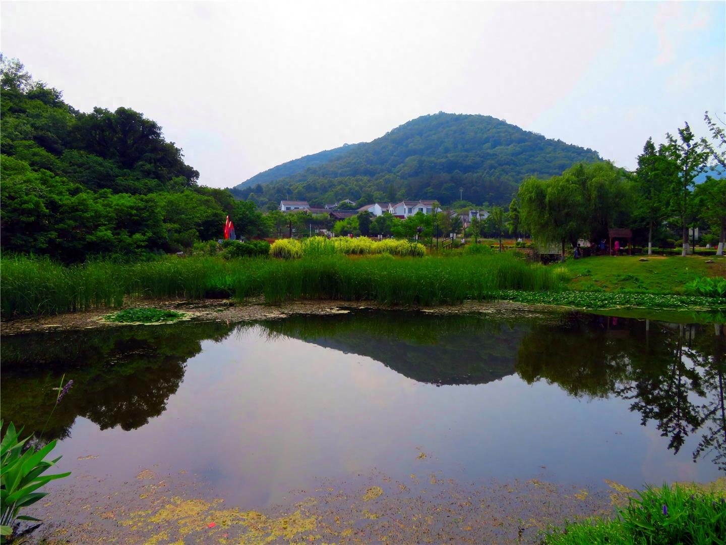 南京浦口老山下的不老村