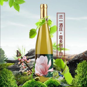 ​推荐6款好喝不贵葡萄酒