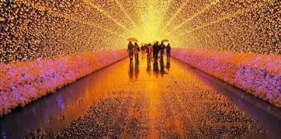 ​各大卫视，跨年清单，拿走不谢！里面有你喜欢的明星么？